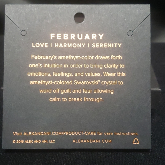 NWOT Alex & Ani RS February Swarovski Bracelet - Picture 10 of 11